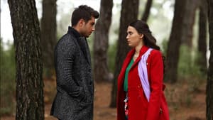 Episodio 15