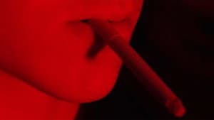The Money Boys — foto 1
