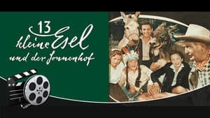 13 kleine Esel und der Sonnenhof — foto 1
