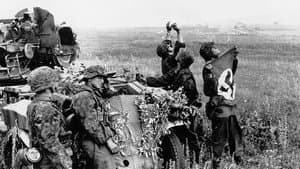Das Reich, une division SS en France (6 juin 1944-8 mai 1945) — foto 1