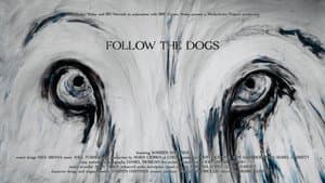 Follow the Dogs — foto 1