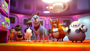 Mascotas unidas — foto 7