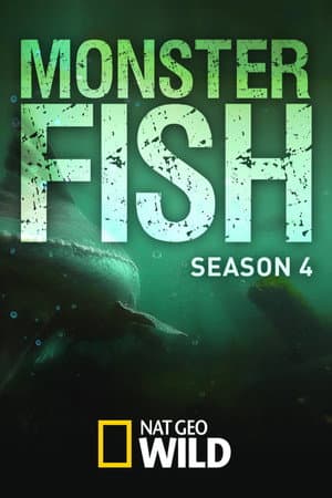 Temporada 4