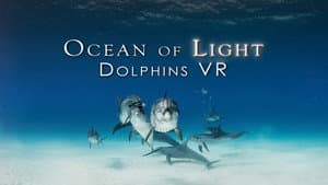 Ocean of Light - Dolphins VR — foto 1