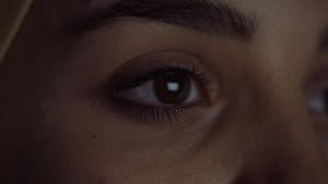 Maram: Between Shadow & Light — foto 1
