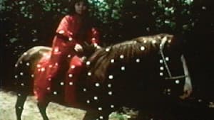 Kusama's Self-Obliteration — foto 1
