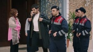 Episodio 12