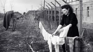 Les survivants, l'impossible départ après la Shoah — foto 2