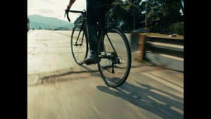 PEDALERXS — foto 5