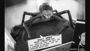 The Lost Spider Pit Sequence — foto 4