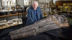 Attenborough and the Sea Dragon — foto 7