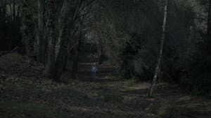 A Floresta — foto 8