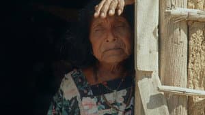 Two-Spirit — foto 1