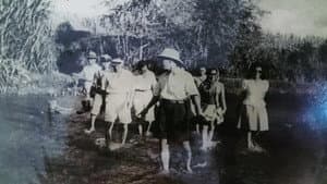 Peta Gula — foto 3