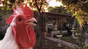The Natural History of the Chicken — foto 2