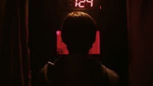 David — foto 1