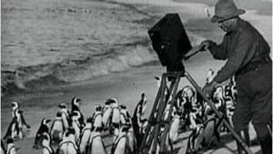 With Cherry Kearton in the Jungle — foto 1