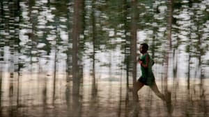 The athlete — foto 1