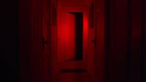 Red Wine — foto 4