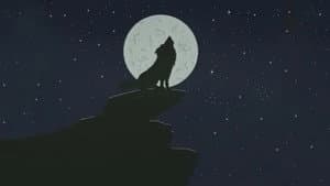 Peter und der Wolf — foto 3