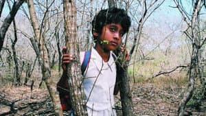 සුළඟ එනු පිණිස — foto 2