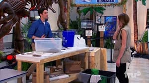 Episodio 24
