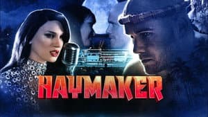 Haymaker — foto 5