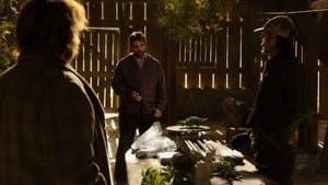 Episodio 11