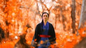 Immortal Fist: The Legend of Wing Chun — foto 1