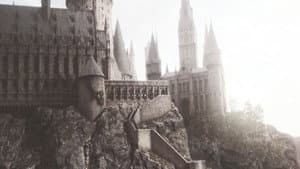 Harry Potter — foto 9