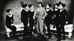 Las mujeres gato de la luna — foto 1