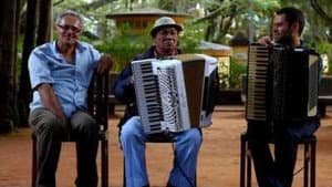 O Milagre de Santa Luzia — foto 1