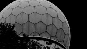 Extinção — foto 6