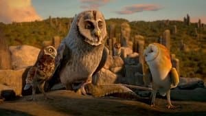Ga'Hoole: La leyenda de los guardianes — foto 10