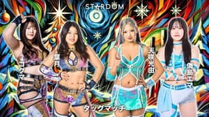 STARDOM in TOYAMA 2025 Dec. — foto 3
