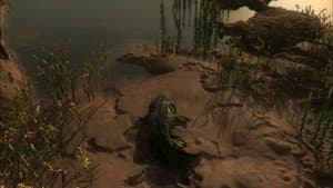 David Attenborough's Rise of Animals: Triumph of the Vertebrates — foto 3