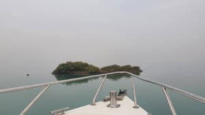 لقطات إضافية — foto 1