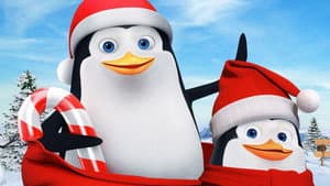 Penguin Land — foto 1