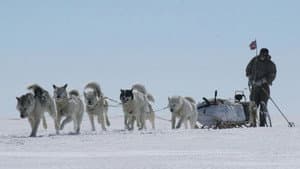 Blizzard: Race to the Pole — foto 1