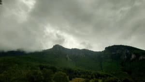 Tourist;Drifter — foto 1