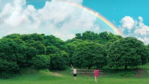 荔枝树下热烈岛 — foto 9