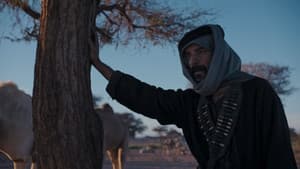 القيد — foto 5