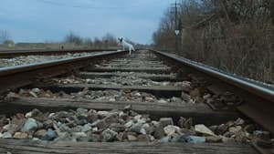 Призори из живота џукца — foto 10