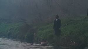 눈물 — foto 3