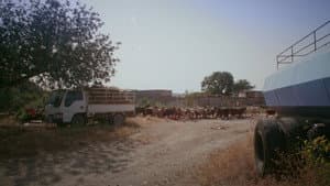 Sous l'artillerie des moteurs — foto 2