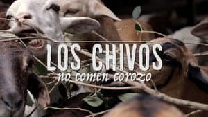 Los chivos no comen corozo — foto 1