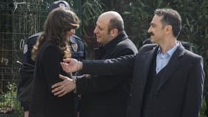 Episodio 6