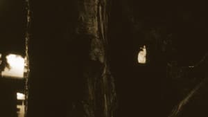 Silent Trespasser — foto 12