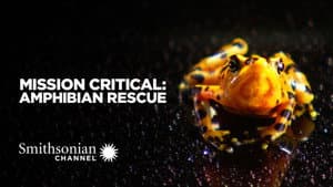 Mission Critical: Amphibian Rescue — foto 1