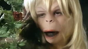 Play-Mate of the Apes — foto 8